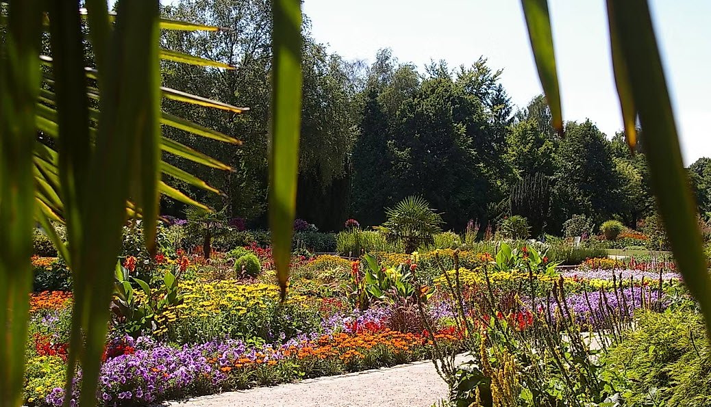 Botanischer Sondergarten Wandsbek, Hamburg, Germany, Germany